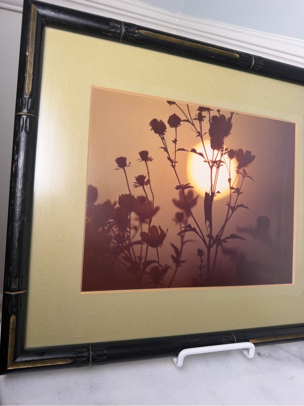 Sunset Silhouette Botanical Wall Art - Brown and Cream